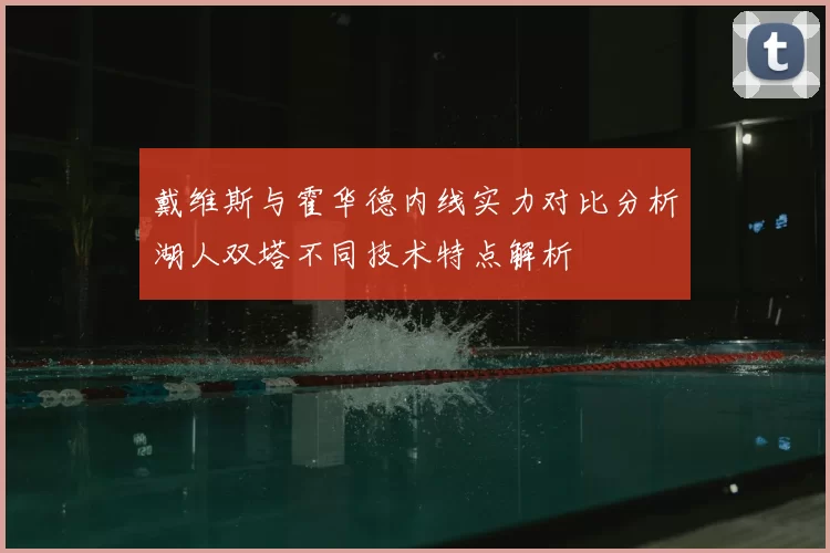 戴维斯与霍华德内线实力对比分析湖人双塔不同技术特点解析