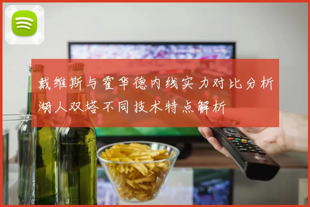 戴维斯与霍华德内线实力对比分析湖人双塔不同技术特点解析