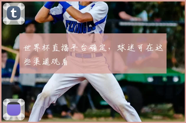 世界杯直播平台确定,球迷可在这些渠道观看