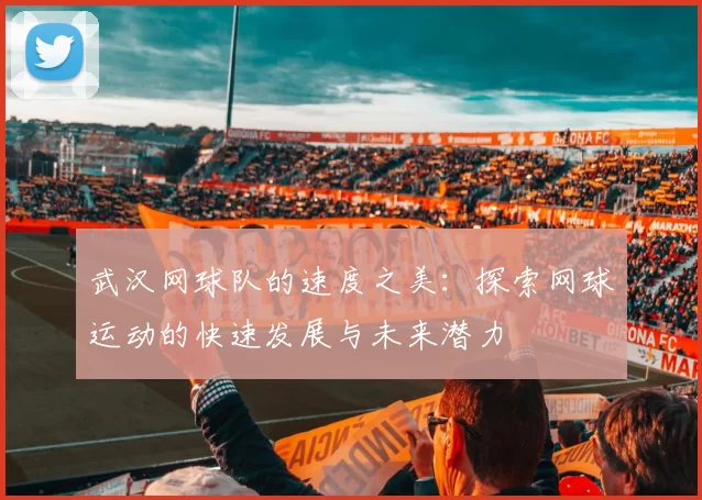 武汉网球队的速度之美:探索网球运动的快速发展与未来潜力