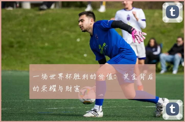 一场世界杯胜利的价值:奖金背后的荣耀与财富