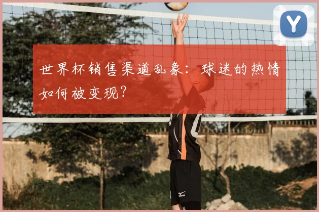 世界杯销售渠道乱象:球迷的热情如何被变现?