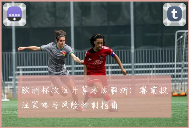 欧洲杯投注计算方法解析:赛前投注策略与风险控制指南