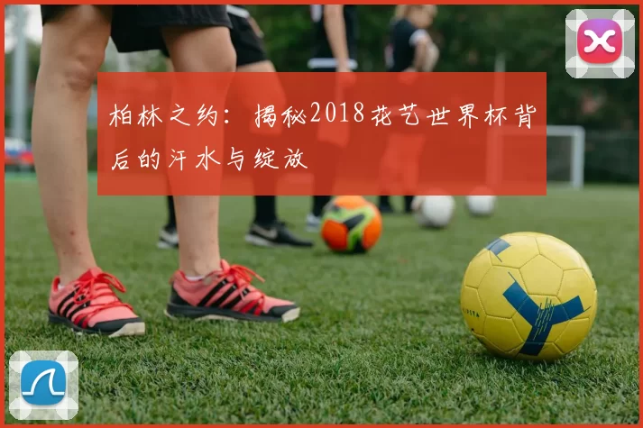 柏林之约:揭秘2018花艺世界杯背后的汗水与绽放
