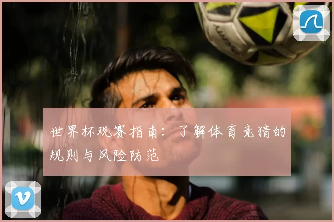 世界杯观赛指南:了解体育竞猜的规则与风险防范