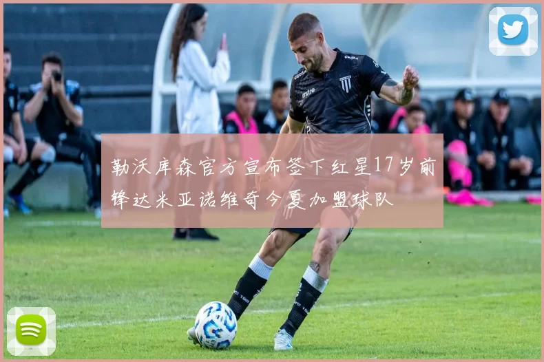 勒沃库森官方宣布签下红星17岁前锋达米亚诺维奇今夏加盟球队