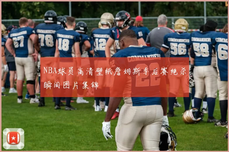 NBA球员高清壁纸詹姆斯季后赛绝杀瞬间图片集锦