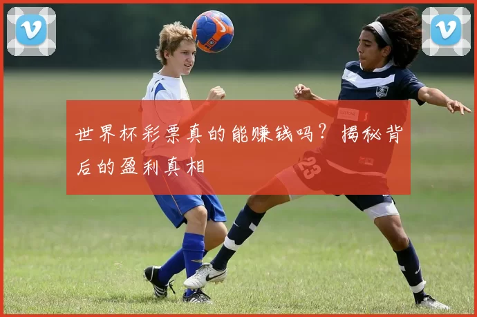 世界杯彩票真的能赚钱吗?揭秘背后的盈利真相