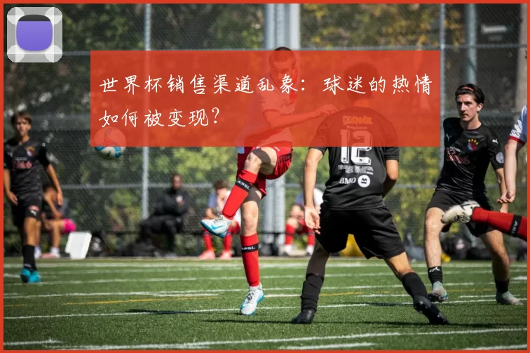 世界杯销售渠道乱象:球迷的热情如何被变现?