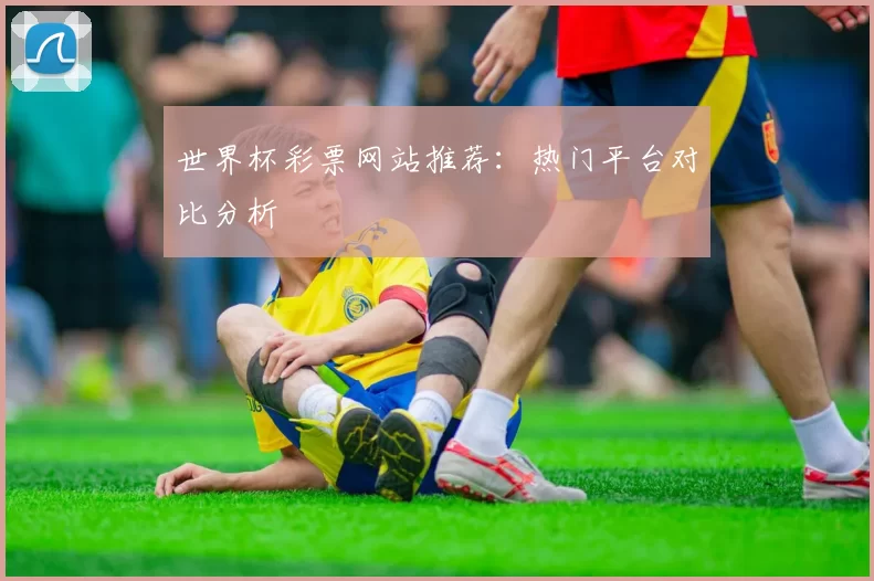 世界杯彩票网站推荐:热门平台对比分析