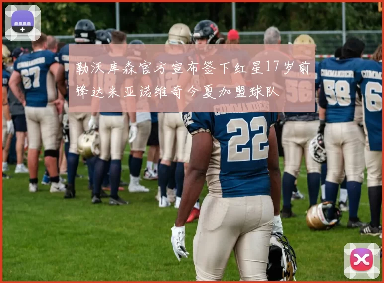 勒沃库森官方宣布签下红星17岁前锋达米亚诺维奇今夏加盟球队